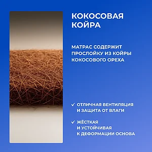 ������ Dimax ������ ���� ����