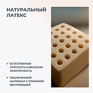 ������ Dimax �� ������ ����