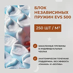 ������ Dimax ���������