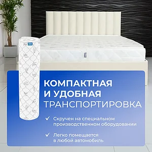 ������ Dimax ������ ���� ����