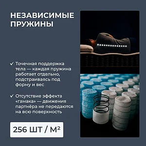 ������ Dimax �� ������� ����