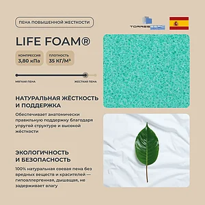 ������ Mr.Mattress Amnesia