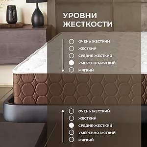 ������ Dimax ���� ����