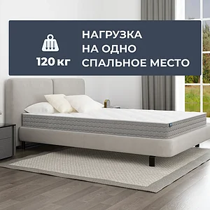 ������ Dimax �� ������ ����
