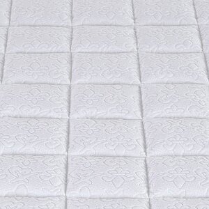 ������ Magniflex Classico � ���� 27100 �. � ������ �������: 3 ��.