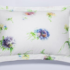 ���������� ����� DecoFlux Aster Blanc � ����� � ���������� ������