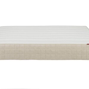 ������ Viking Ragnar