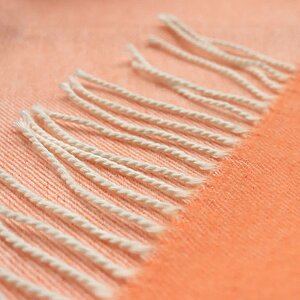 ������ ���� Biederlack Twill Orange ��������