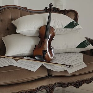 ������� Anna Flaum Herbst, ������� 50�70 �� � ���� 28566 �. � ���