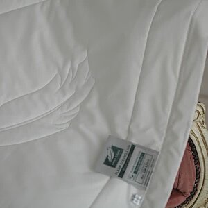 ������ Anna Flaum Modal, ������ � ���� 14968 �. � 41 ������
