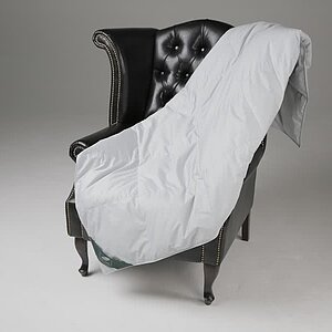 ������ Anna Flaum Fruhling, ����������� � ���� 34242 �. � 43 �������