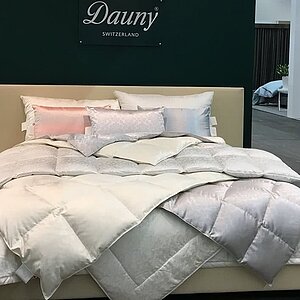 ������ Dauny Geneva Medium � ��� � 26 ��������