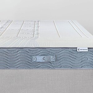 ������ Kamasana Alma (Lila) � ������������� ������ � ������� �����