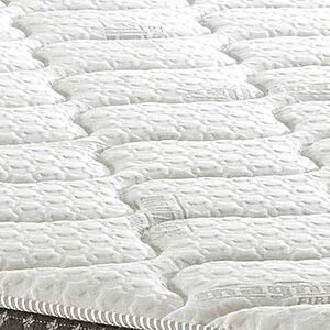 ������ Magniflex Ricordo 12 � � ������ � ������ �������: 30 ��.