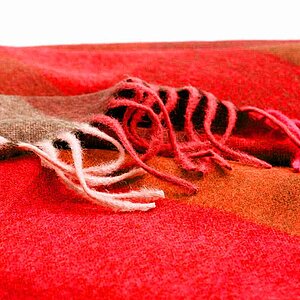 ���� Elvang Inca � ���� 20790 �. � ����������