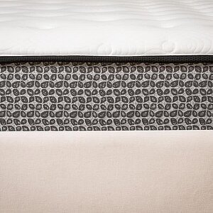 ������ ������ One Base Plush � ����������� ��������� ����, 310 ������/�&sup2; � �������� 1,5 ����