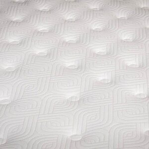 ������ ������ One Base Plush � ������������� ������ � ����������� ��������� ����, 310 ������/�&sup2;