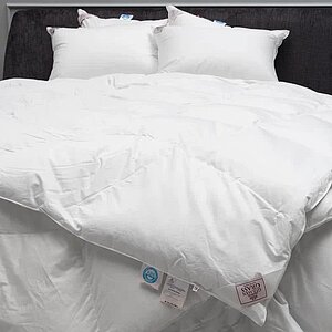 ������ ��� ���� �����