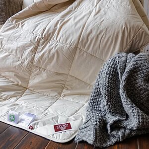 ������ ������� ���� �����