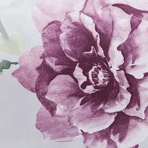 ������ �������� Mirabello Queen Rose ��������
