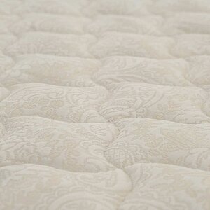 ������ Dream Master ���� 1 UP � ������ �������: ������ � ������� � ����������� ��������� ����, 1000 ������/�&sup2;