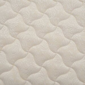 ������ Dream Master ���� 3 UP � ����������� ��������� ����, 1000 ������/�&sup2; � ������ �������: 24 ��.