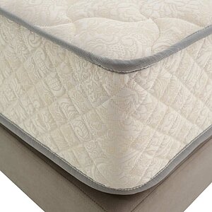������ Dream Master ���� 16 MP � ������-������� ������ � ������ �������: 26 ��.