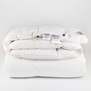 ������ ���� ���� ����� warm