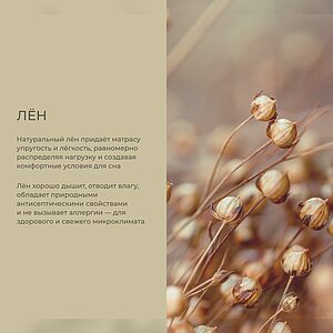 ������ Auriga Adhara � ������-������� ������ � ������� � �������