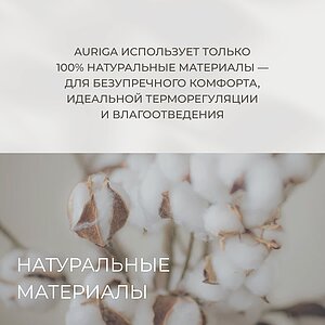 ������ Auriga Adhara � ���� 808186 �. � ����������� ��������� ����, 380 ������/�&sup2;
