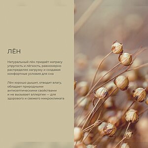 ������ Auriga Almaaz Medium � ���� 995348 �. � ������� � �������