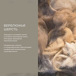 ������ Auriga Azaleh � ����������� ������ � ���������� ����������