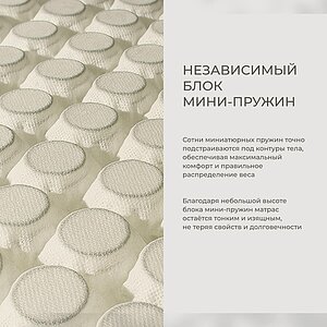 ������ Auriga Azaleh Firm � ���� 1306216 �. � ��������� �������, ������������ ���: 200 ��.