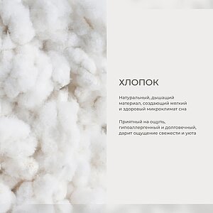 ������ Auriga Azaleh Medium � ���������� ���������� � ����������� ��������� ����, 650 ������/�&sup2;