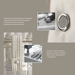 ������ Auriga Azaleh Medium � ��������-������ ������ � ������� � �������
