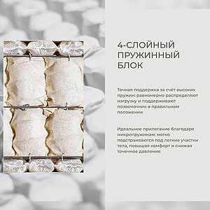 ������ Auriga Azaleh Medium � ��������� �������, ������������ ���: 200 ��. � ������� � �������