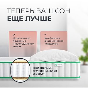������ Clever Base � ������-������� ������ � �������� 1,5 ����