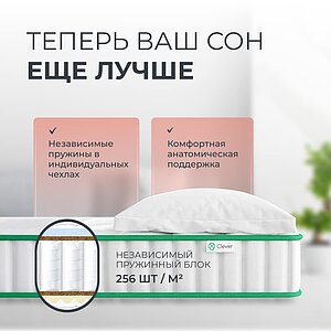 ������ Clever Bright Firm � �������������� ����������� � ������ �������: 22 ��.