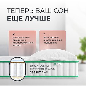 ������ Clever Bright Hard � ���� 22447 �. � �������������� �����������