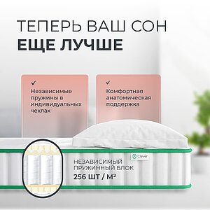 ������ Clever Dream
