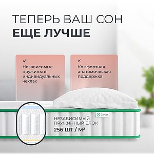 ������ Clever Fiber � [65 x 200 ��] � ������ �������: 23 ��.