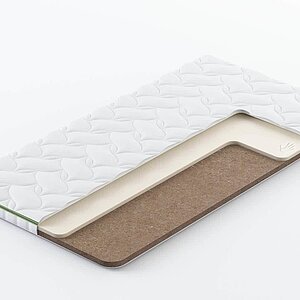 Clever MemoTop Firm