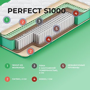  Clever Perfect S1000