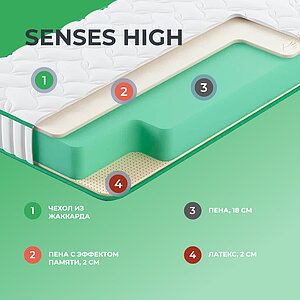  Clever Senses High