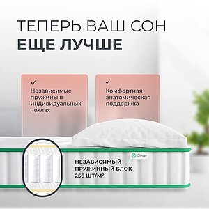 ������ Clever Strutto � �������� � ���� ������! � 1 ������