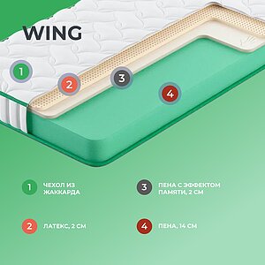  Clever Wing
