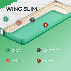  Clever Wing Slim