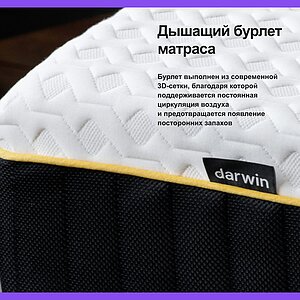 ������ darwin Air Spring � ����������� ��������� ����, 1000 ������/�&sup2;, 7 ��� ��������� � ��������� �������, ������������ ���: 150 ��.