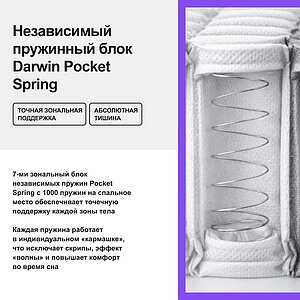 ������ darwin Evo Spring � ������������� ������ � ������-������� ������