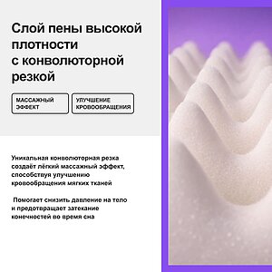 ������ darwin Foam � ���� 16106 �. � 1 ������